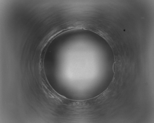 X0000067850338200604201313