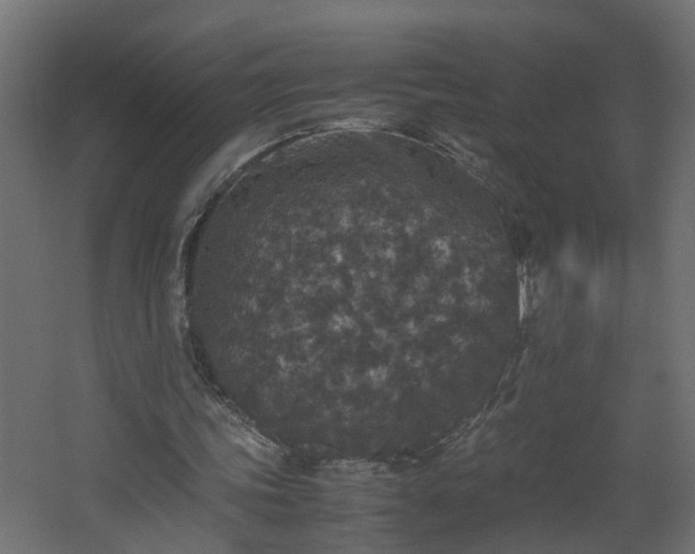 X0000067850339200604201313