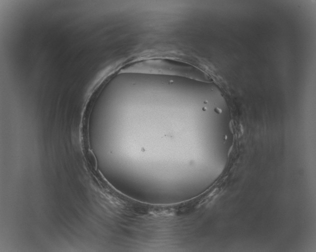 X0000067850340200604201313