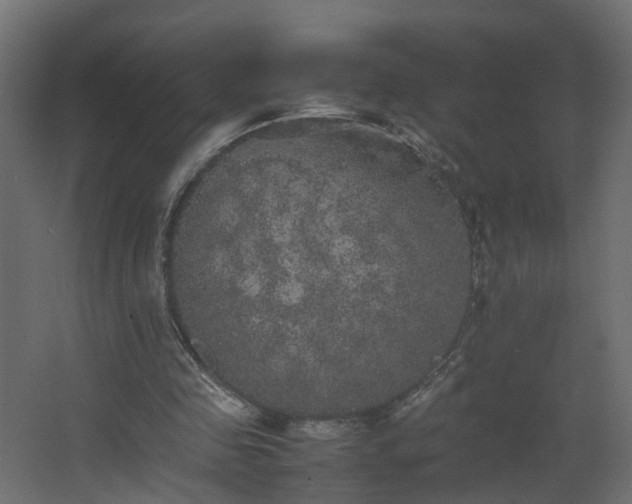 X0000067850341200604201313