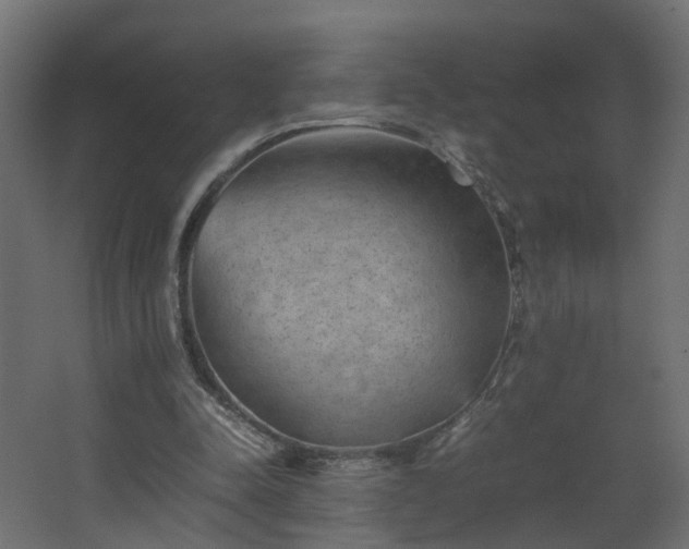 X0000067850342200604201313