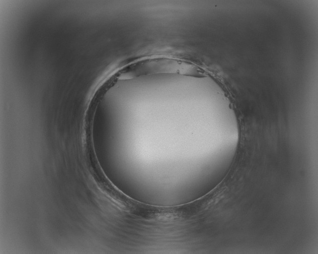 X0000067850344200604201313