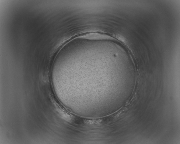 X0000067850345200604201313