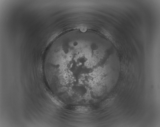 X0000067850347200604201313