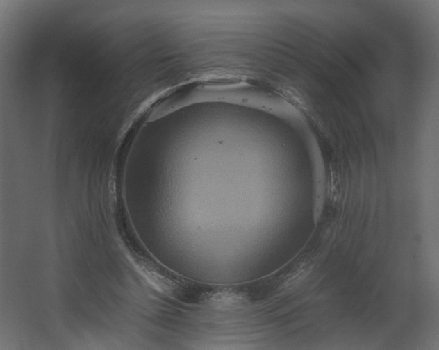 X0000067850348200604201313