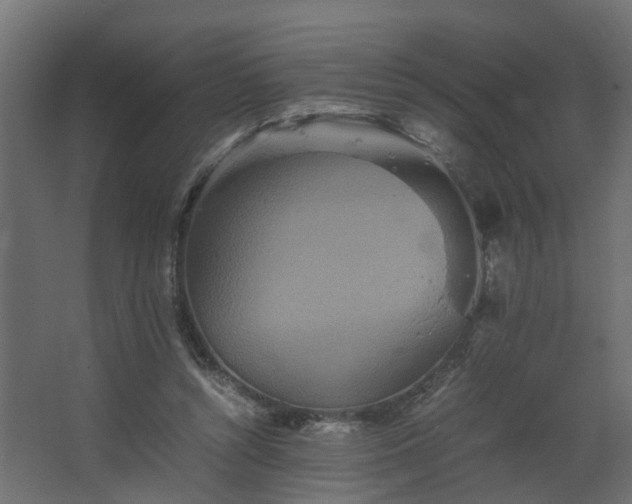 X0000067850352200604201313