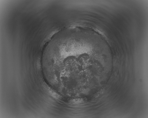 X0000067850353200604201313