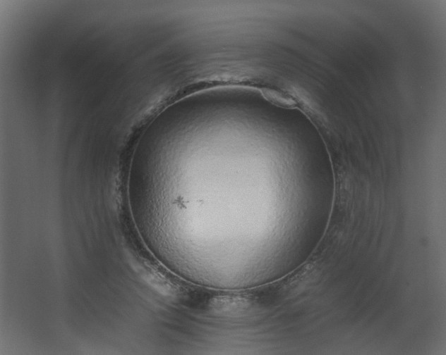 X0000067850354200604201313