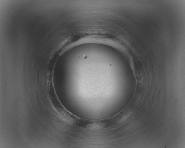 X0000067850356200604201313