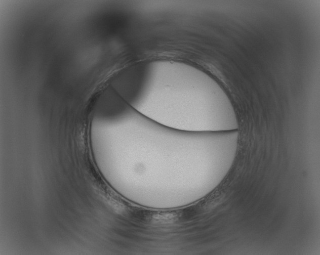 X0000067850357200604201313