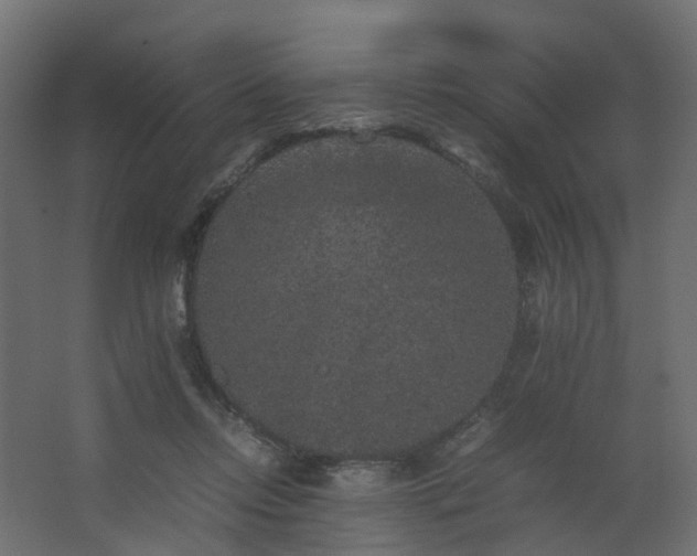 X0000067850358200604201313