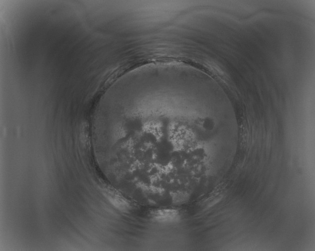 X0000067850361200604201313