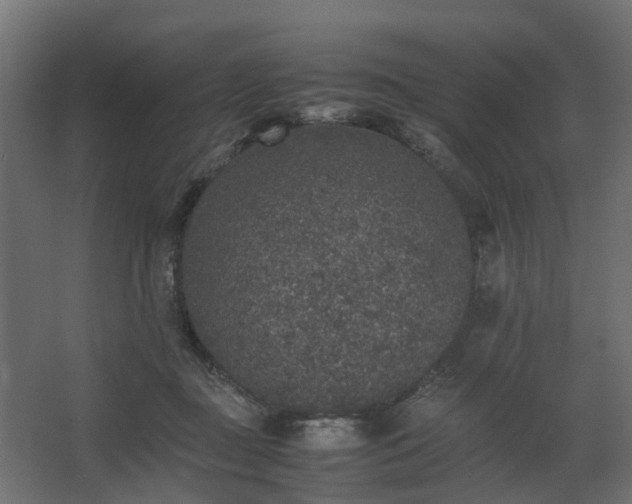 X0000067850363200604201313