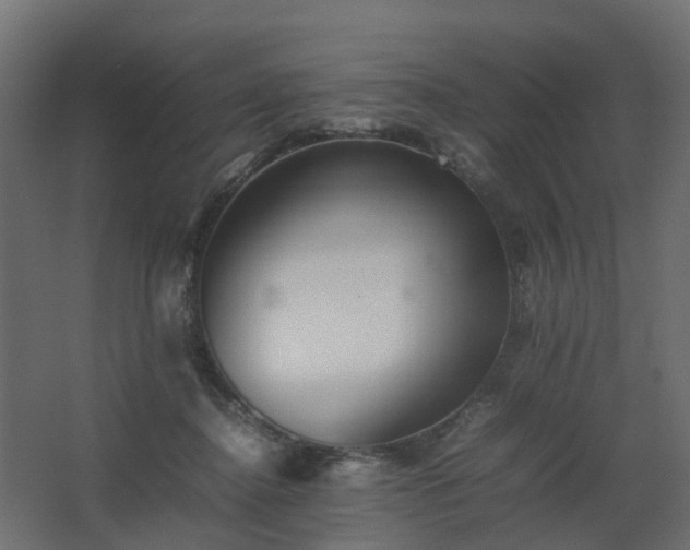 X0000067850364200604201313