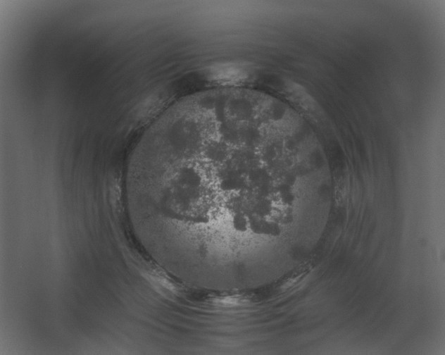 X0000067850365200604201313