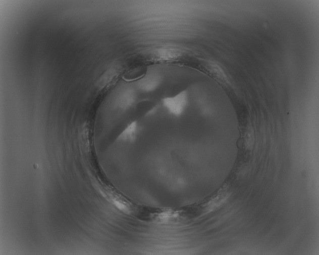 X0000067850366200604201313