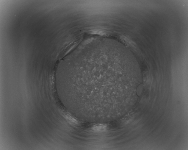 X0000067850369200604201314