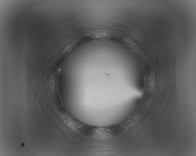 X0000067850372200604201314