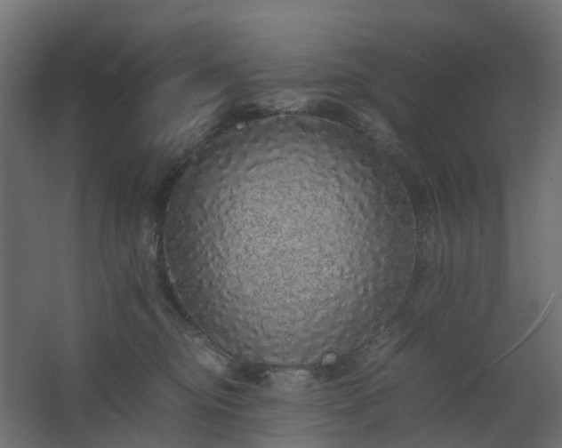 X0000067850374200604201314