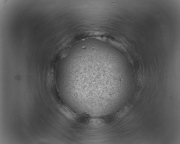 X0000067850376200604201314