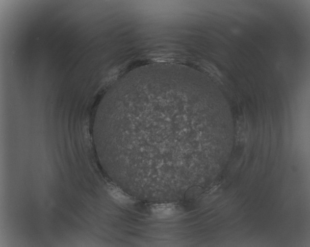 X0000067850377200604201314