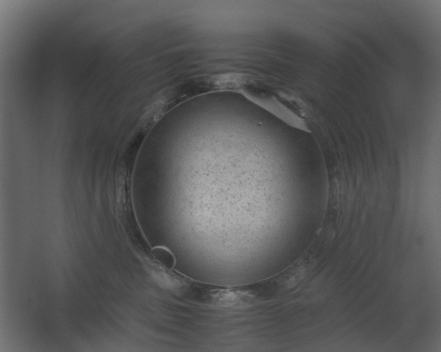 X0000067850379200604201314