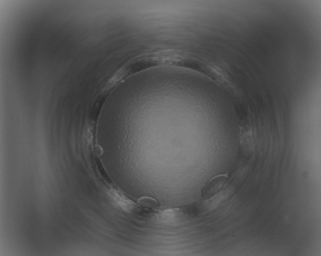 X0000067850382200604201314