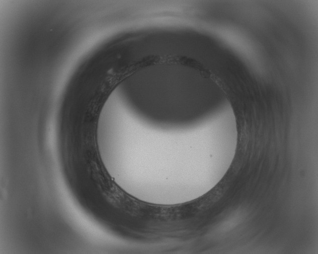 X0000067850383200604201314