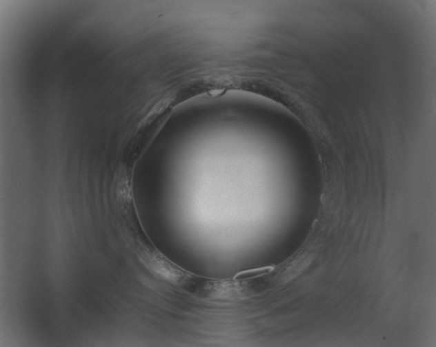 X0000067850384200604201314