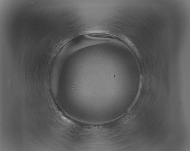 X0000067850385200604201313