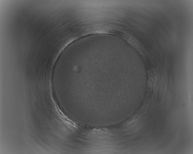 X0000067850386200604201313