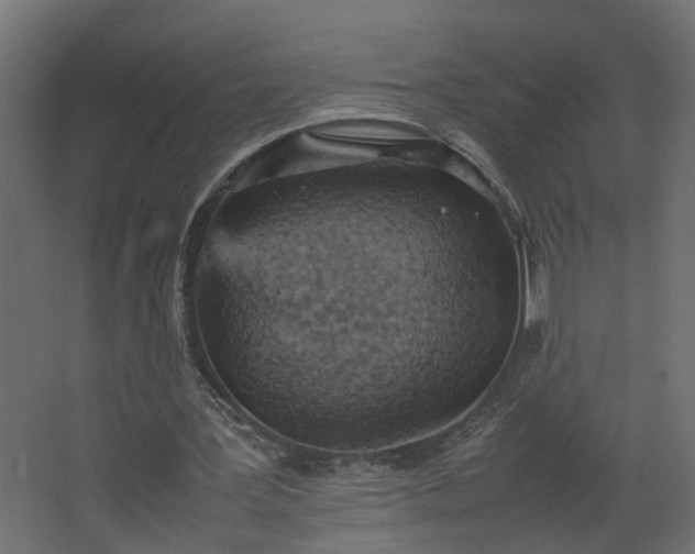 X0000067850387200604201313