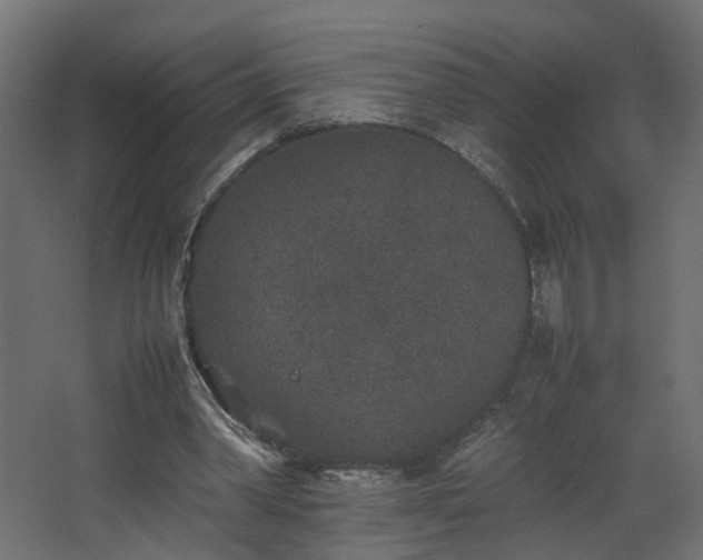 X0000067850390200604201313