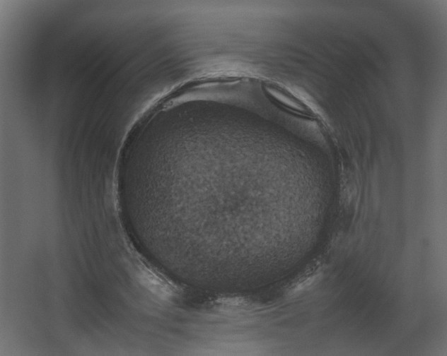 X0000067850391200604201313