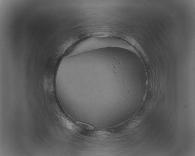 X0000067850393200604201313