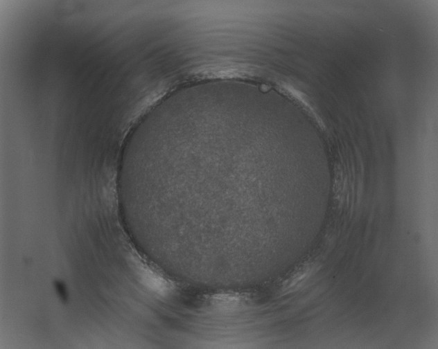 X0000067850394200604201313