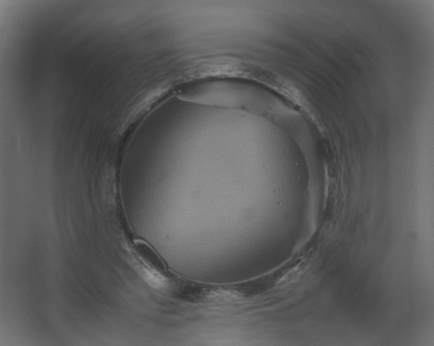 X0000067850397200604201313