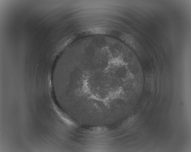 X0000067850398200604201313