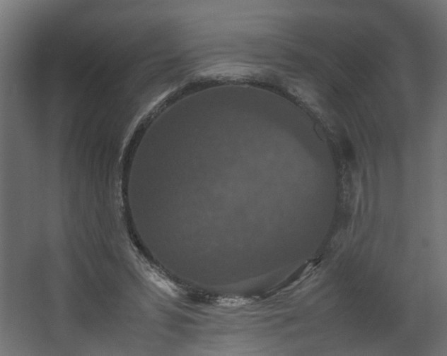 X0000067850399200604201313