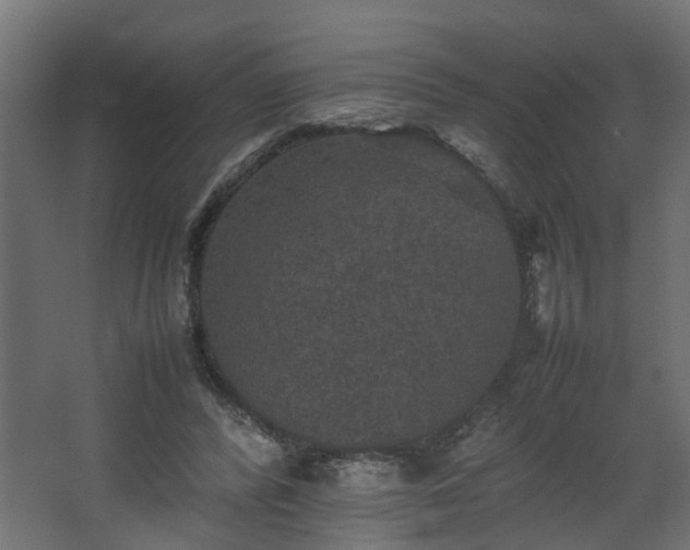 X0000067850400200604201313