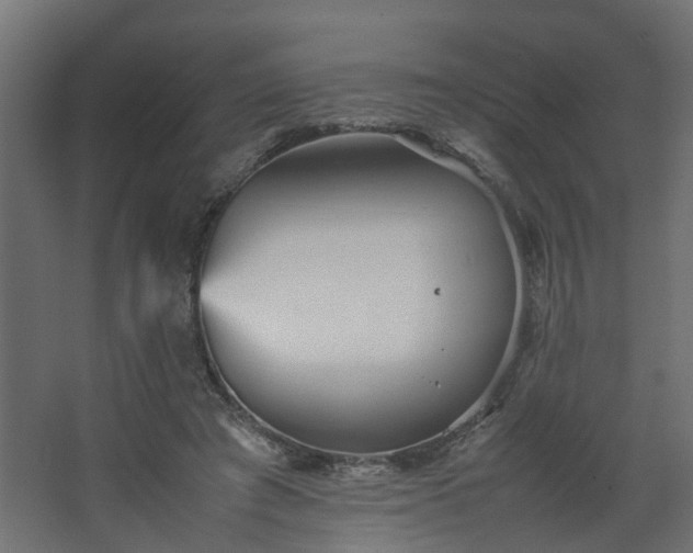 X0000067850401200604201313