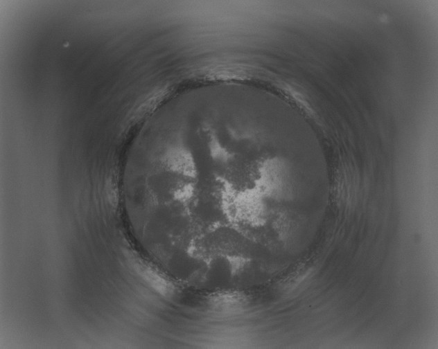 X0000067850402200604201313