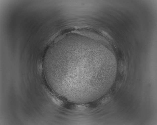 X0000067850405200604201313