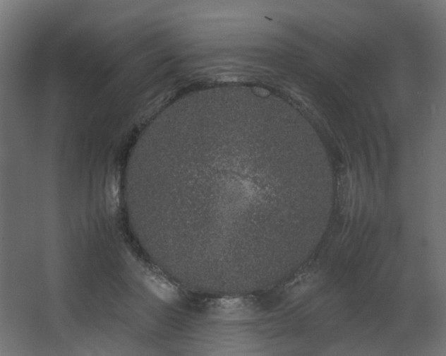 X0000067850406200604201313