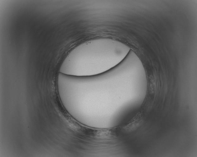 X0000067850410200604201313