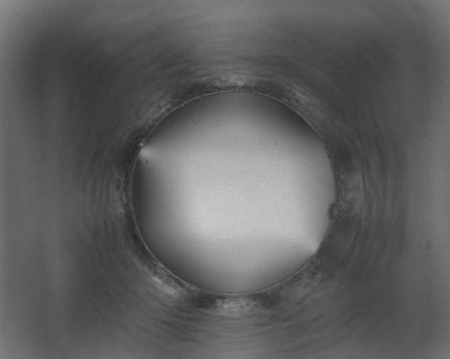 X0000067850414200604201312