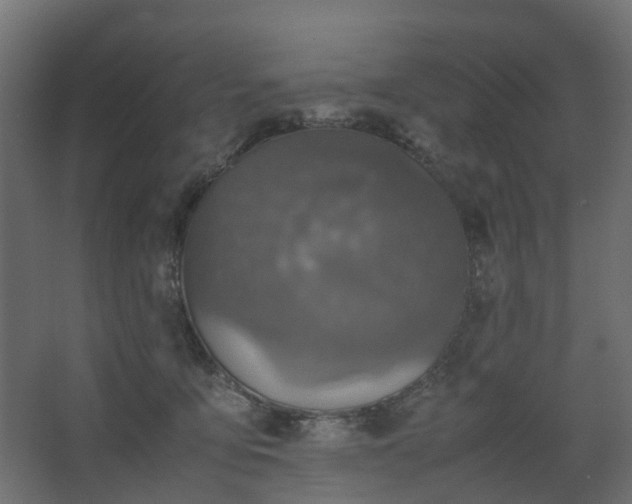 X0000067850419200604201312