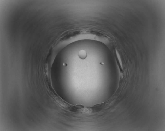 X0000067850421200604201312