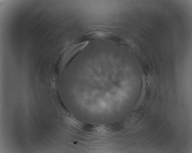 X0000067850423200604201312