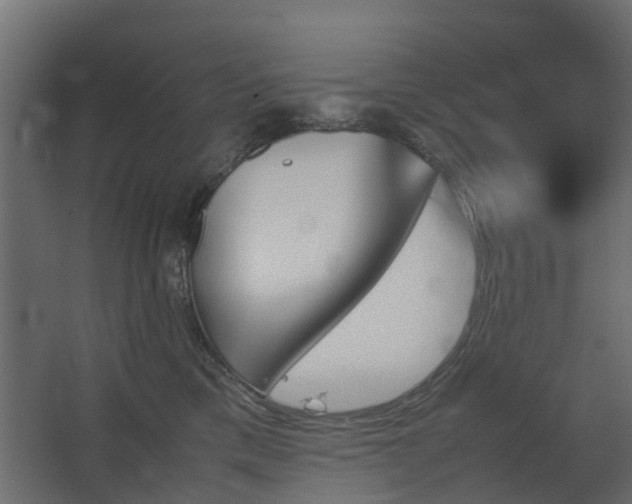 X0000067850425200604201312